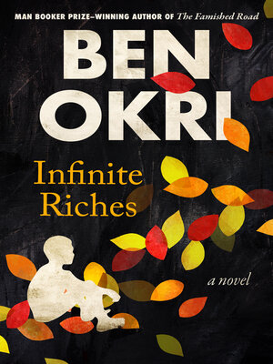 cover image of Infinite Riches